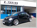Beetle